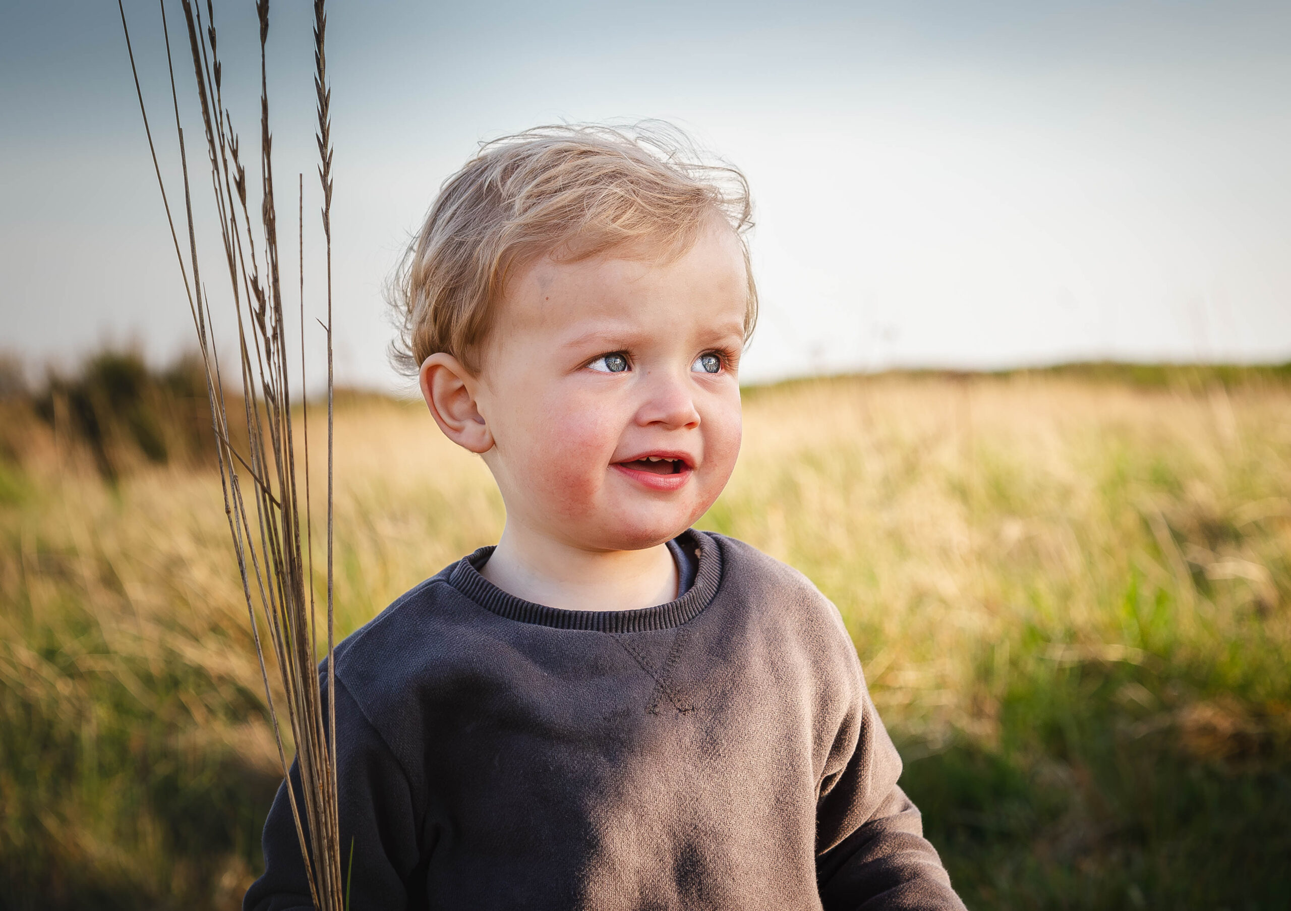 Roed Fotograf i Ribe