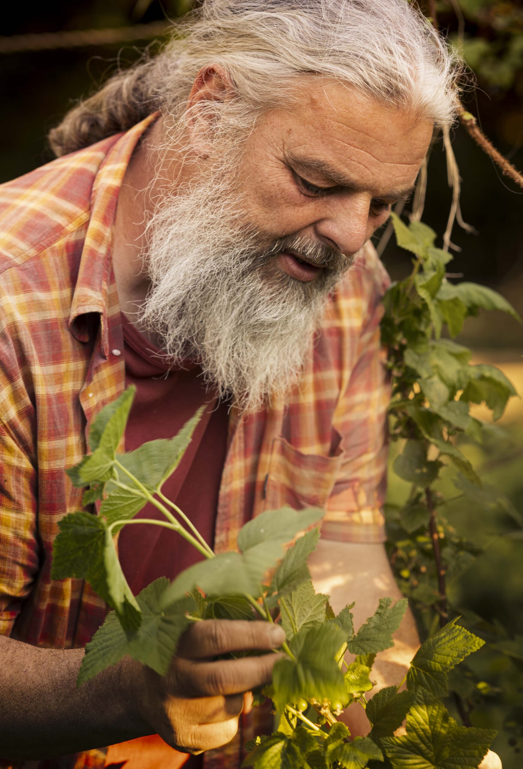 Roed Fotograf i Ribe
